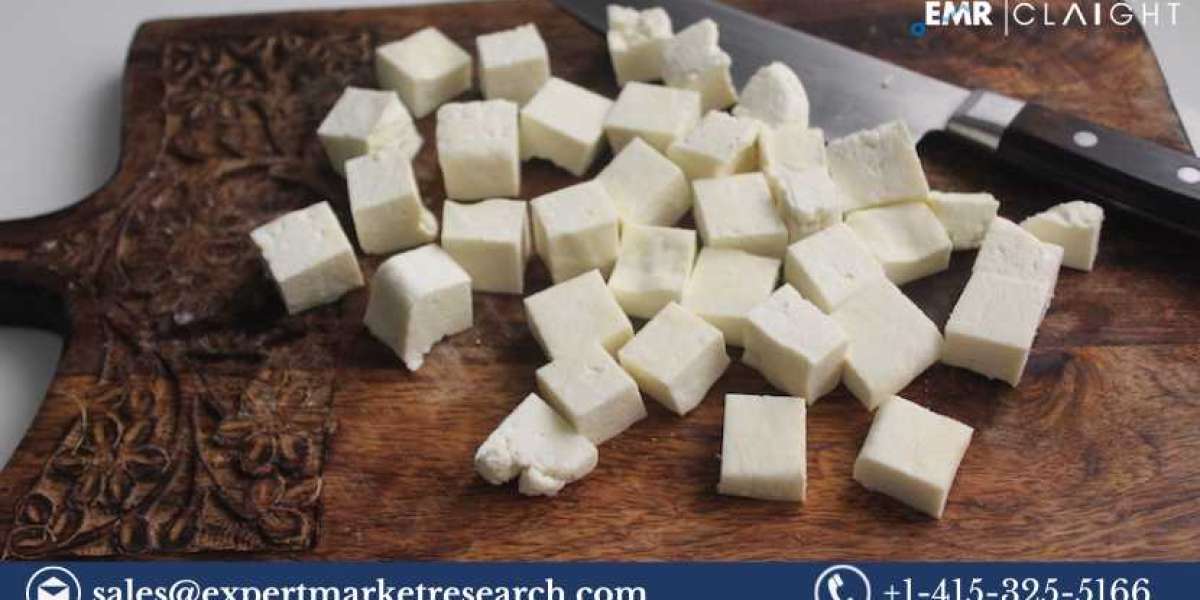 India Paneer Market Report 2024-2032: Growth, Trends and Forecast Analysis