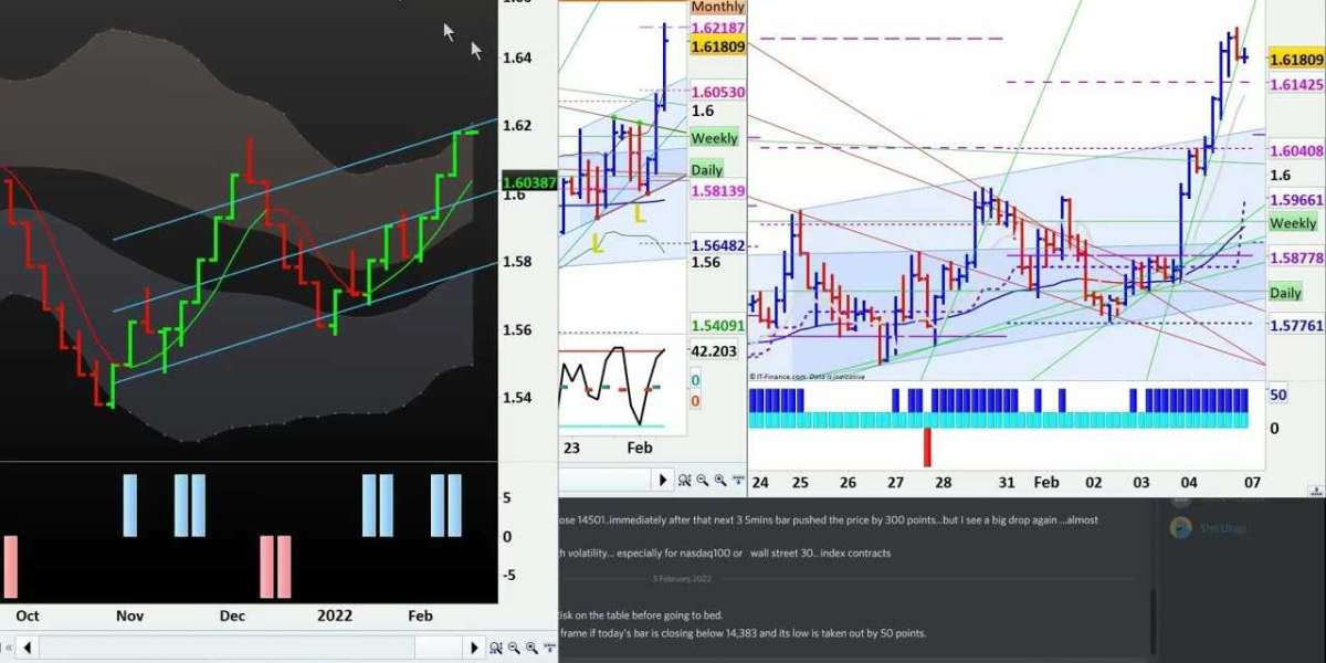 Forex Trading Mastery: Comprehensive Training at NP Financials