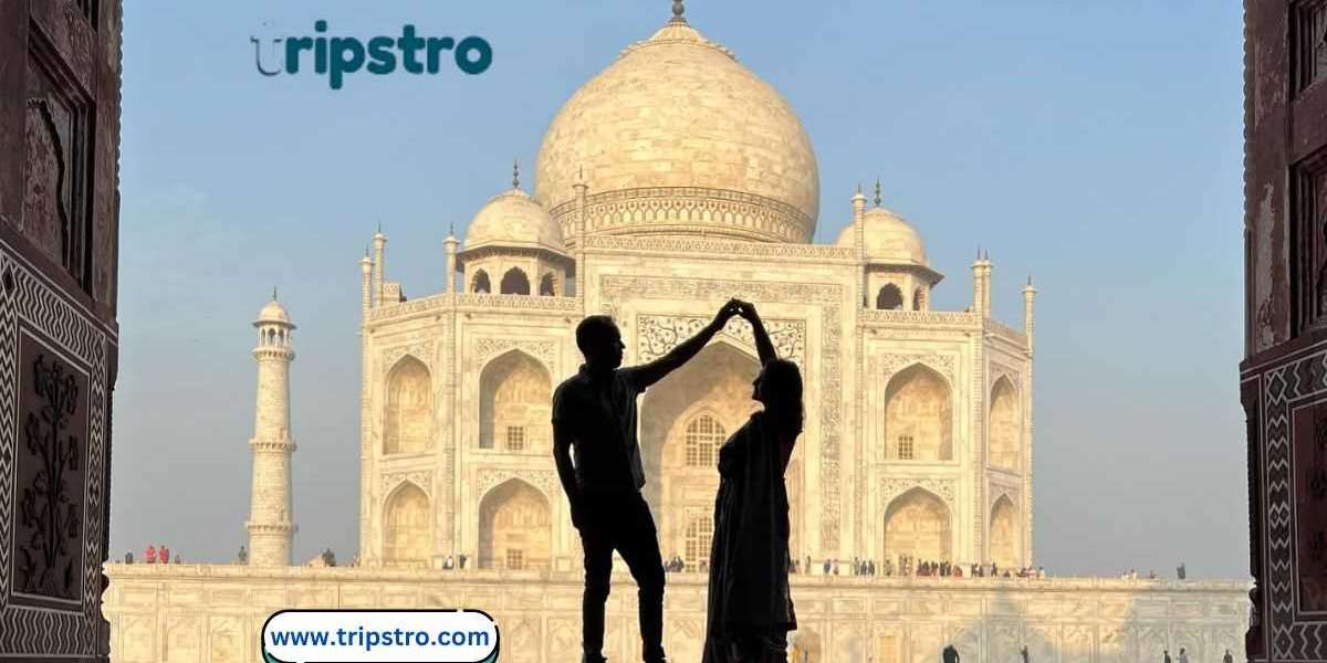 Excursión de un día a Agra desde Jaipur: descubra el Taj Mahal y mucho más