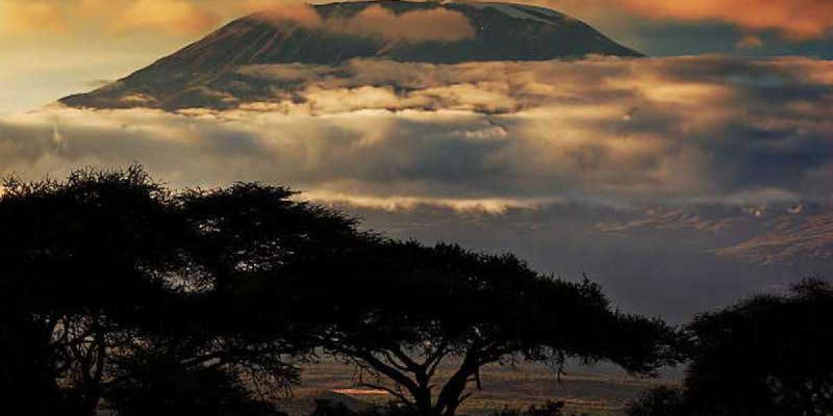 Top 5 Reasons why you should visit Tanzania