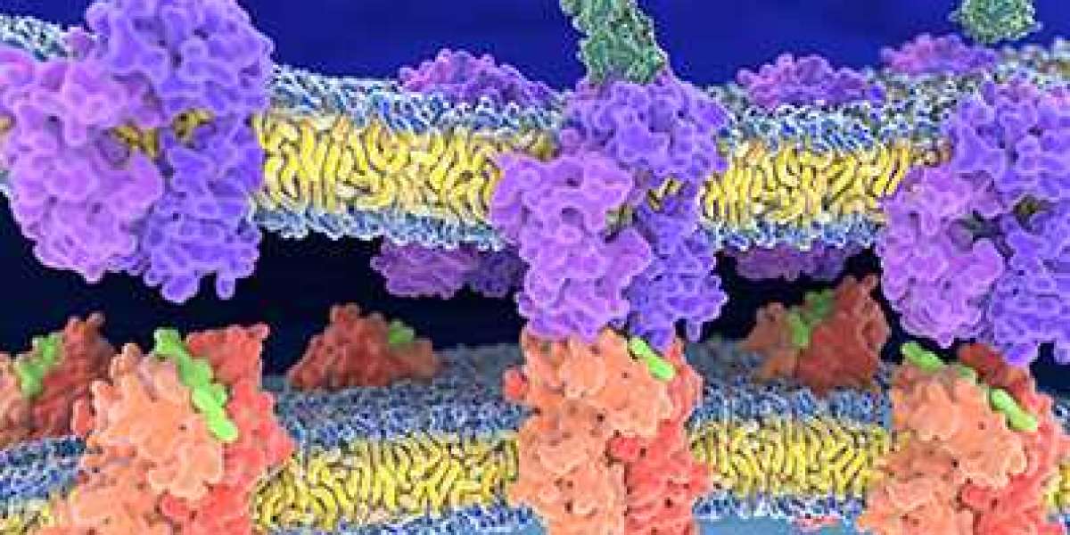 How Different between Antimicrobial Peptides and Cell Penetrating Peptides