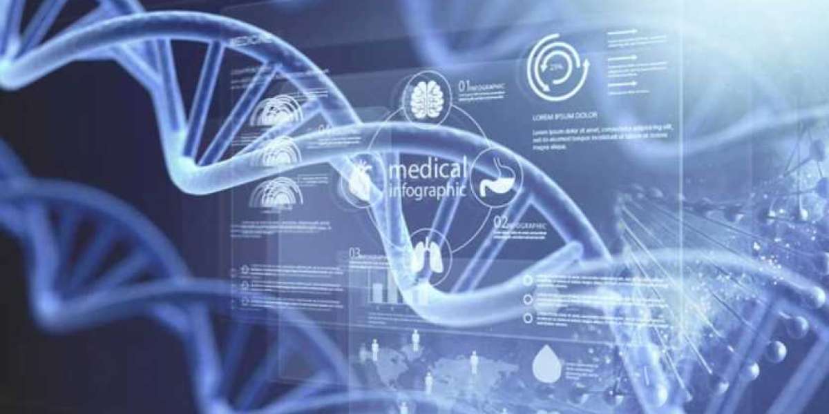 Comprehending Cholesterol and Lipids: Essential Elements for Health and Cellular Function