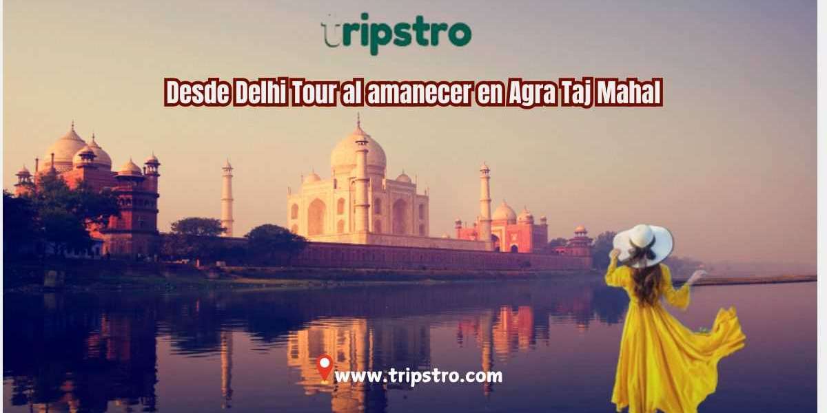 Presenciando la Magia del Taj Mahal: Un Tour de Día Completo desde Delhi