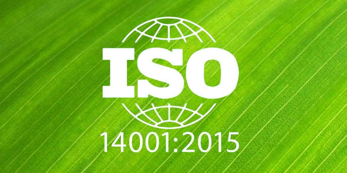 ISO 14001 and Sustainable Business Practices: A Comprehensive Course