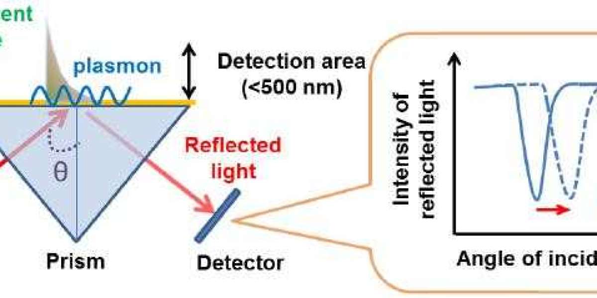 Surface Plasmon Resonance (SPR) Overview