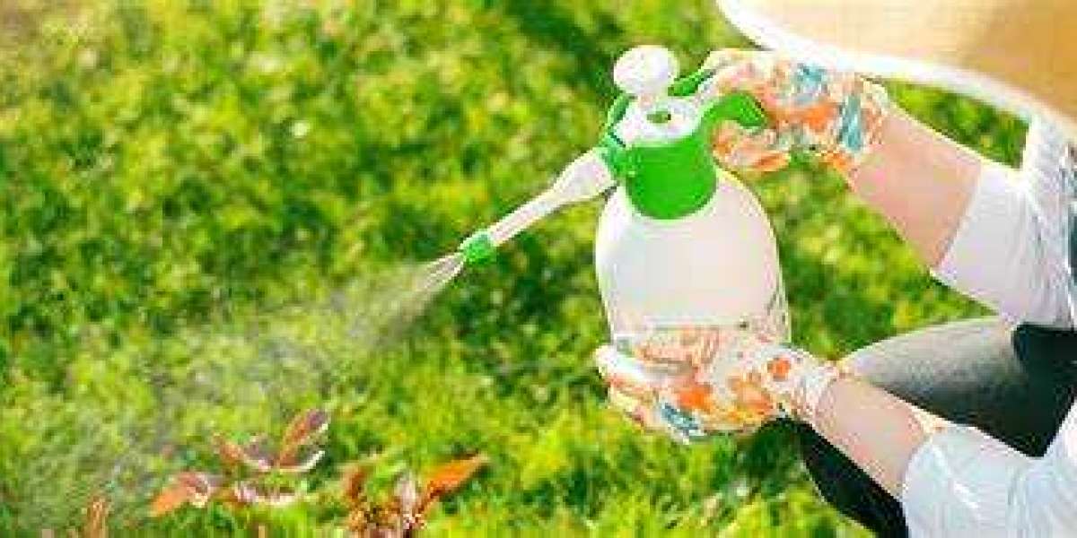 Organic Control & Protection: A Natural Approach to Garden Care