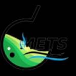 Mets lab Profile Picture