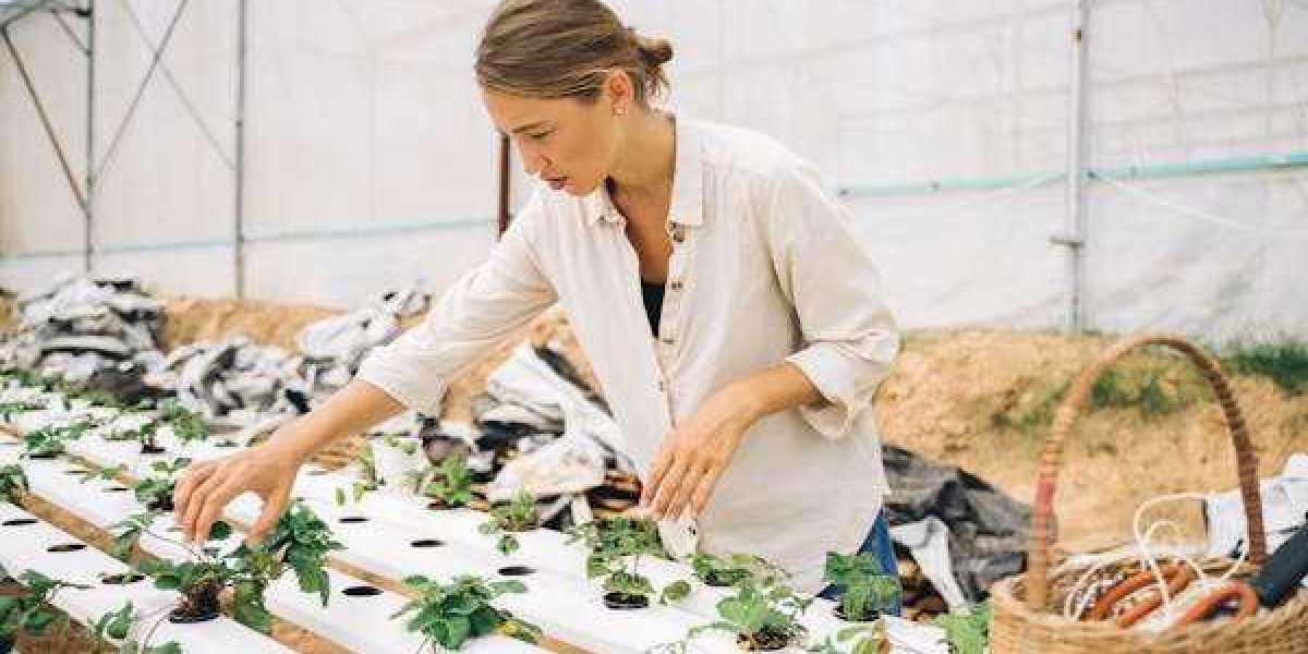 The Ultimate Guide to Hydroponic Growing Systems