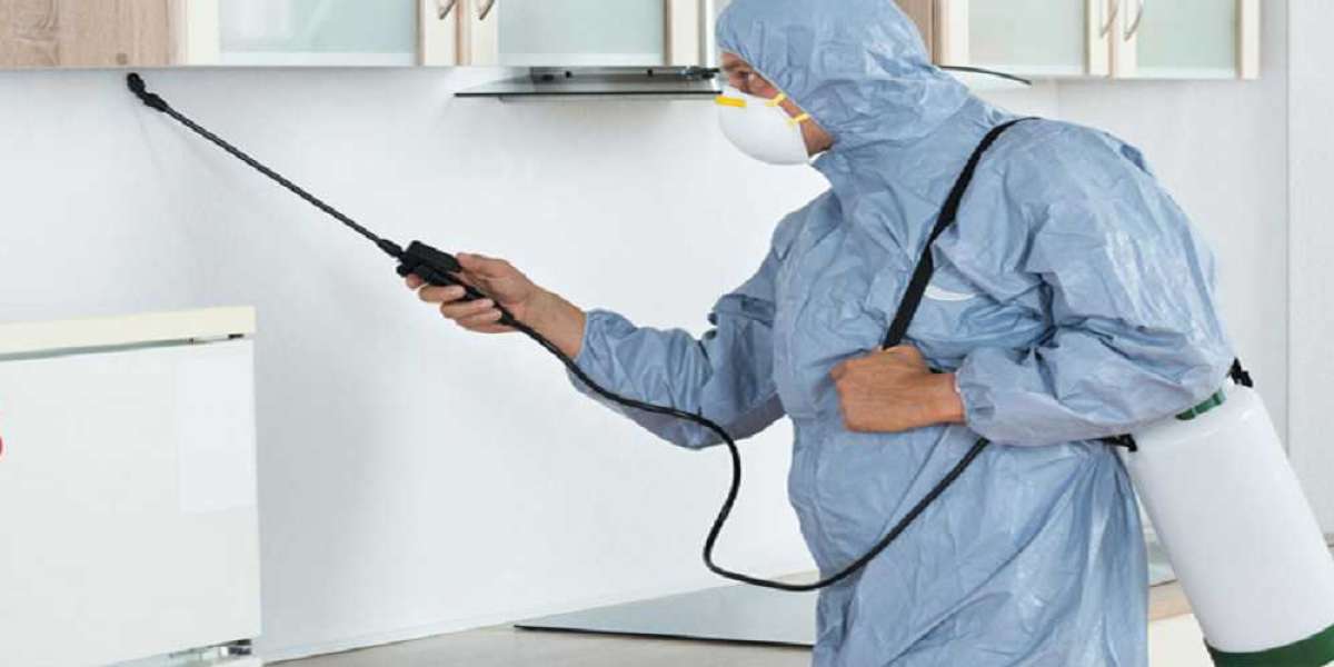 Effective Termite Control and Fumigation in Lahore